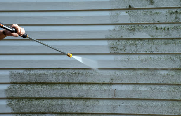 Professional Pressure Washing in Springerville, AZ