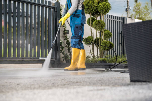 Best Affordable Power Washing  in Springerville, AZ