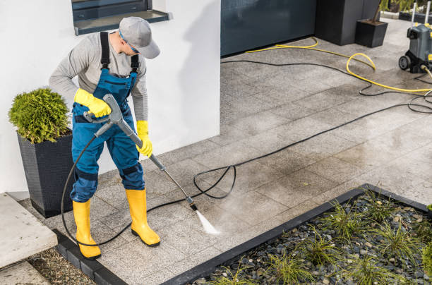 Best Pressure Washing Company Near Me  in Springerville, AZ