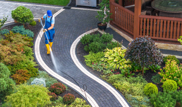Best Commercial Building Pressure Washing  in Springerville, AZ